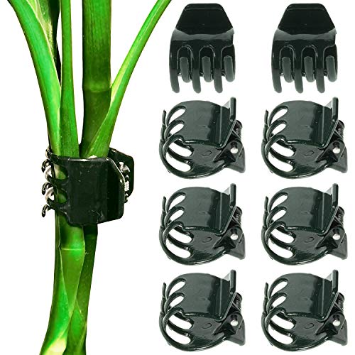 BEADNOVA Plant Clips 50Pcs Large Orchid Clips for Orchid Support Plant Support Flower Vine (2cm, 50PCS) - color: 50pcs