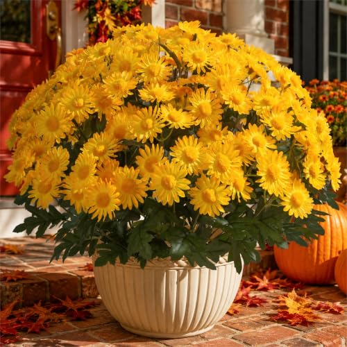 Artificial Fall Fake Outdoor Mums Flowers Plants for Summer Decoration, 6 PCS Faux Silk Yellow Gerbera Daisy UV Resistant No Fade Realistic for Planter Pot Porch Patio Balcony Garden Home Decor - color: Yellow Mums