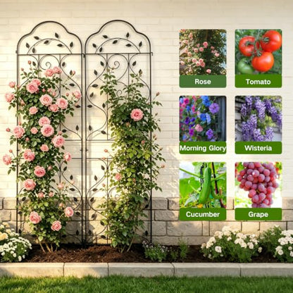 hogardeck 4 Packs 84 * 19 inch Metal Garden Trellis for Climbing Plants Outdoor,Heavy Duty,Black Coating Rustproof Trellis for Rose, Vegetable, Flowers, Expandable,Perfect for Training Climbing Plants - size: 84*19 in