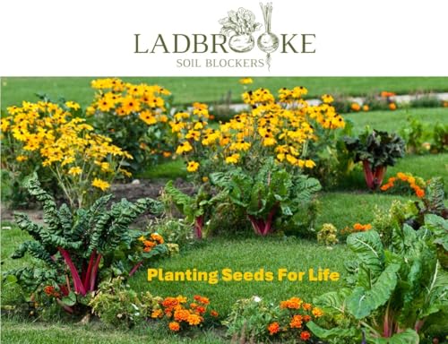 Authentic Ladbrooke 5-Pc Essentials Soil Blocker Set, England