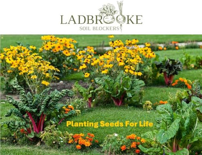 Authentic Ladbrooke 5-Pc Essentials Soil Blocker Set, England