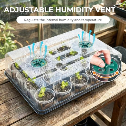 homenote 2 Pack Seed Starter Trays with Grow Lights and 40 3 Inch Pots - size: 3 Inch, style: 2 Pack Tray+Pots+Dome+Grow Light