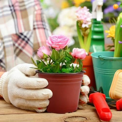 20Pcs Flexible Plant Nursery Pots Plastic Flower Plant Container for Succulents Seedlings Cuttings Transplant