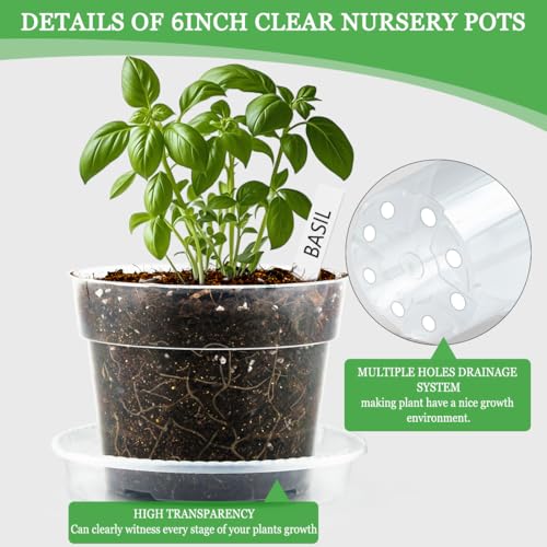 BTPLASTIK Clear Plastic Nursery Pots for Plants, 6 Inch Transparent Plant Pot with Drainage Holes, Flower Pots with Saucers, Seed Starter Pots with 15 Pcs Plant Labels, Gardening Gifts - size: 6 Inch-15P