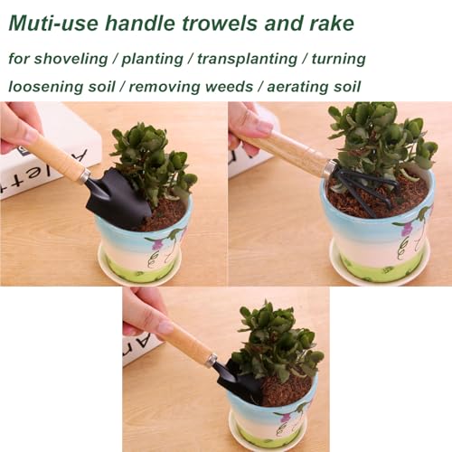 3 Pcs Mini Garden Tools Set Small Tiny Shovel Trowel and Hand Rake with Solid Wood Handle Indoor Gardening Tools for Pot Plants Succulent Bonsai - style: 3PCS Mini Silver