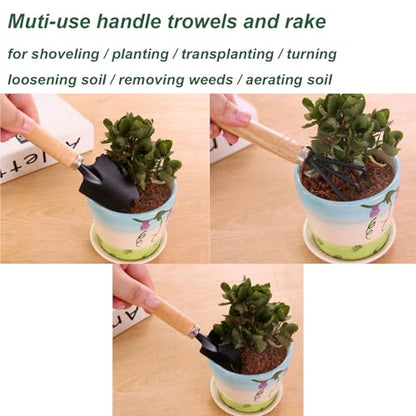 3 Pcs Mini Garden Tools Set Small Tiny Shovel Trowel and Hand Rake with Solid Wood Handle Indoor Gardening Tools for Pot Plants Succulent Bonsai - style: 3PCS Mini Silver