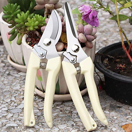 BUGUI Garden Shears Set of 2, Includes 1 Bypass Pruning Shears and 1 Straight Blade Garden Scissors, Sharp, Lightweight - style: Straight+Bypass