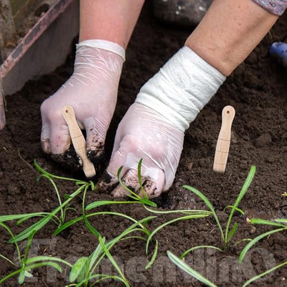 Framendino, 5 Pack Wooden Plant Dibber Wood Garden Sow Seedling Gardeners Planting Tools Dibble for Seed Plants