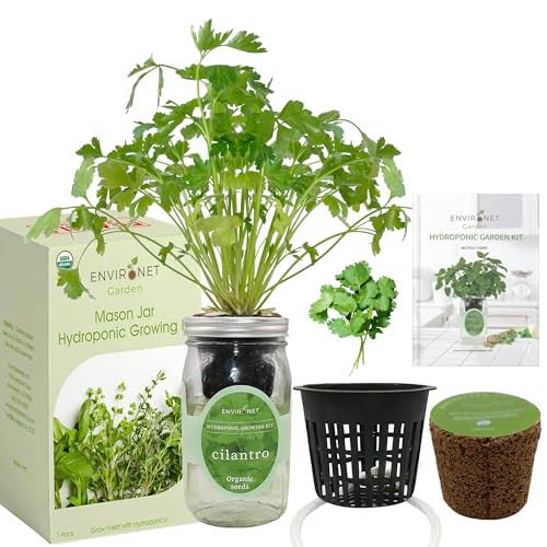 Hydroponic Herb Growing Kit, Self-Watering Mason Jar Window Herb Garden Starter Kit Indoor, Grow Your Own Herbs from Organic Seeds (Cilantro) - color: Cilantro