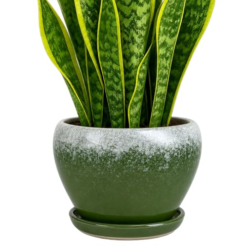 Deep Dream 8 Inch Plant Pots- Ceramic Pots for Plants with Drainage Hole and Saucer, Large Planter Pot for Indoor Plants Outdoor Decor, Blackish Green - color: Blackish Green, size: 8 Inch