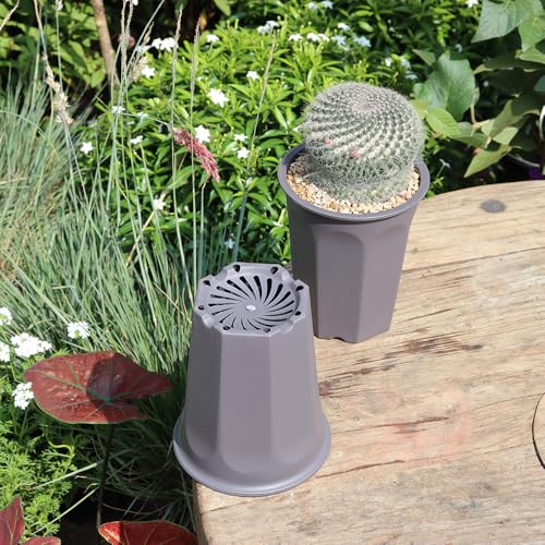 10 Pack 5.30 Inch Plastic Deep Nursery and Seedling Pots, Round Transplant Seed Starter Planter, Gray Color - color: Gray, size: 5.30 inch