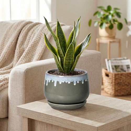 Ceramic Pots for Plants 6 Inch, Indoor Plant Pots, Grey-Blue - size: 6 Inch, style: Grey-blue