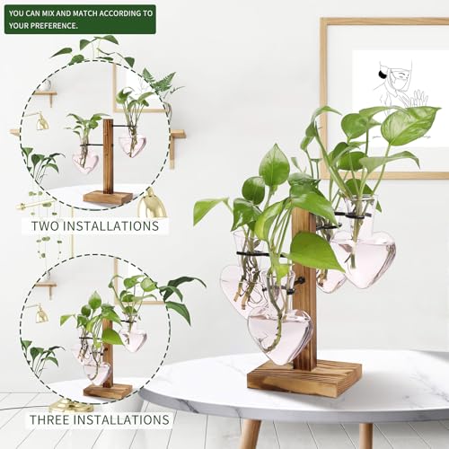 Plant Terrarium Propagation Stations with Wooden Stand - color: Pink