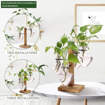 Plant Terrarium Propagation Stations with Wooden Stand - color: Pink