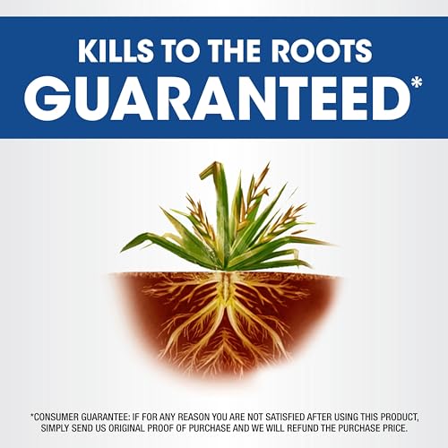 Roundup Weed & Grass Killer4 Concentrate, 2.5 gal. - size: 2.5 gal. Conentrate