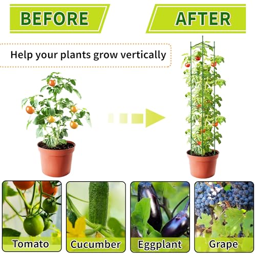 63-Inch Heavy Duty Tomato Cages, 4-Pack Extra Tall Metal Tomato Trellis, Steel Tube Plant Cage for Indeterminate Tomatoes, Cucumbers, Pole Beans – Rust-Proof Coated - color: 4-Pack, size: 63 inch