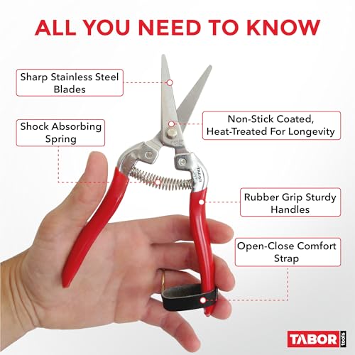 TABOR TOOLS K17A Pruning Snips – 7.5" – Stainless Steel Flower Pruning Scissors for Gardening | Floral Snips and Pruners for Deadheading, Trimming & Harvesting Herbs, Flowers, Fruits or Vegetables - style: K17A Florist Scissors