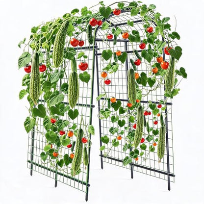 Garvee Metal Garden Arch Trellis 7.7Ft Black - size: 7.7x6x4 Ft