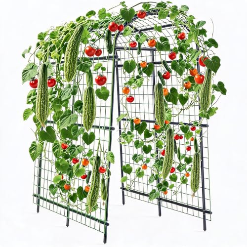 Garvee Metal Garden Arch Trellis 7.7Ft Black - size: 7.7x6x4 Ft