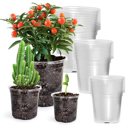 Bluepro Clear Nursery Pots with Drainage Holes, 3.5/4/5 Inch, 36-Pack - size: 3.5/4/5 Inch-36Pcs