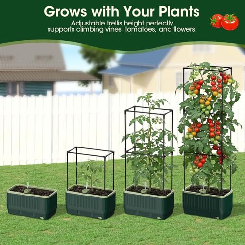 2 Pack 51" Self Watering Planter Box with Trellis, Tomato Planter Trellis for Raised Garden Bed, Tomato Cage with Visual Water Indicator, Indoor Outdoor Tomato Cages for Garden Patio - style: 2 Pack