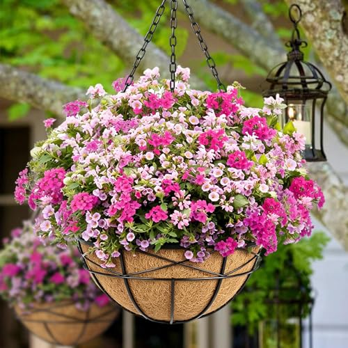 4 Pack 16 Inch Hanging Planters for Outdoor Plants Metal Wire Flower Baskets with Coco Liner & Plastic Saucer Large Deep Hanging Plant Pots for Porch Balcony Garden Décor - color: 4 Pack-black, size: 16 Inch