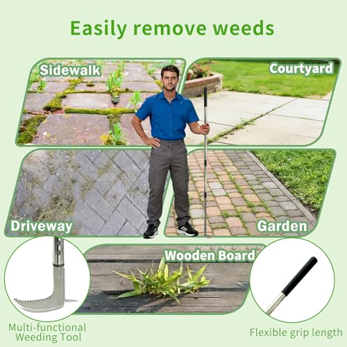 Weed Puller Crack Long Handle, Adjustable for Stand Up Height Garden Tools Patio Sidewalk Driveway