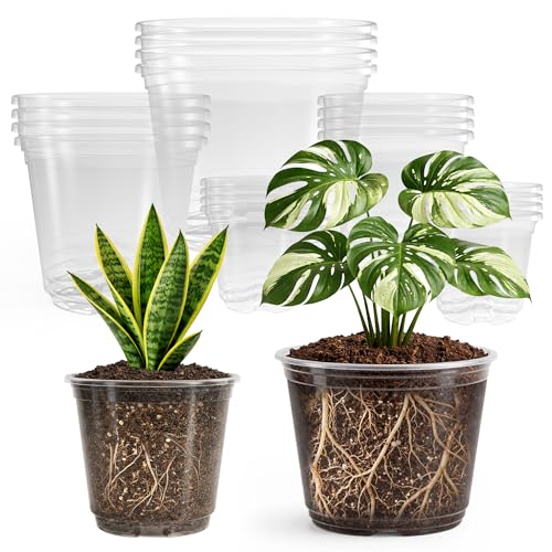 Bluepro Clear Nursery Pots with Drainage, 3.5/4/5/6/8 Inch, 20-Pack - size: 3.5/4/5/6/8 Inch-20Pcs