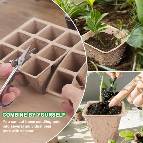 240 Cells Seed Starter Tray Kit, Biodegradable Peat Pots for Seedlings Trays, Plant Starter Seed Germination Kit with 40 Labels and 2 Transplant Tools (20, 240 Cells)