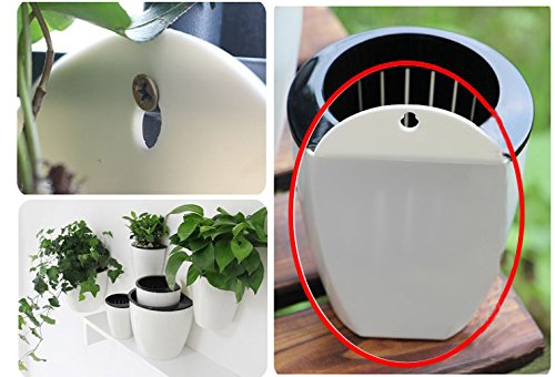 5 pack Lazy flower pots Water hanging plants Pot/Self Watering Planter,Succulent plants and small flower pots Plants Pots Indoor out Wall Hang Flowerpot Window Boxes With 5 hooks Silver (white)