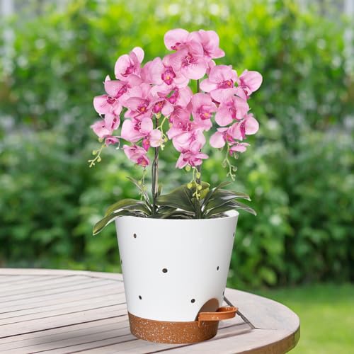 6 Inch Orchid Pot, 2 Pack Self Watering Plant Pots, Orchid Pots with Holes - color: White+brown