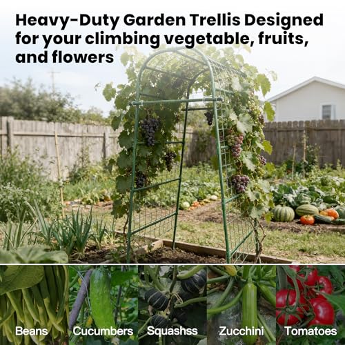 Garden Arch Trellis for Climbing Plants Outdoor, 7 Ft Tall Cucumber Trellis - size: 31.5"L x 50"W x 84"H - Arch Trellis