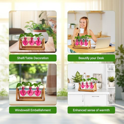 XXXFLOWER Plant Terrarium Propagation Stations 3 Heart Shaped Vases - size: 3 Heart Vase