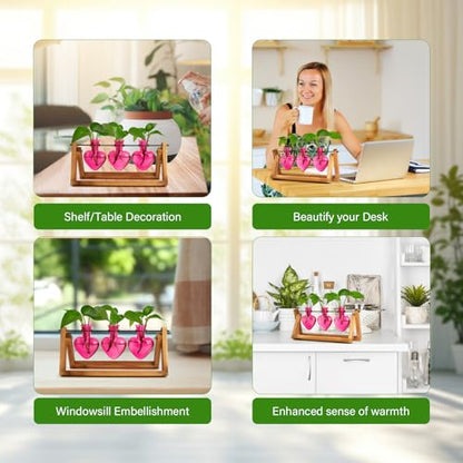 XXXFLOWER Plant Terrarium Propagation Stations 3 Heart Shaped Vases - size: 3 Heart Vase
