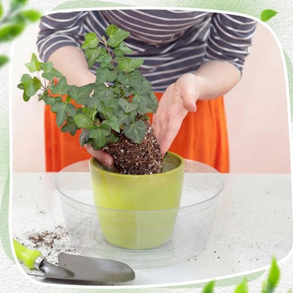 Hoolerry 15 Pcs Plastic Plant Saucer Clear Deep Tray, 14 Inch - size: 14 Inch