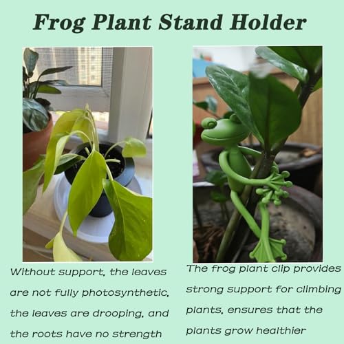 6pcs Frog Plant Stand Holder Plant Propagation Buddy for Indoor Accessories