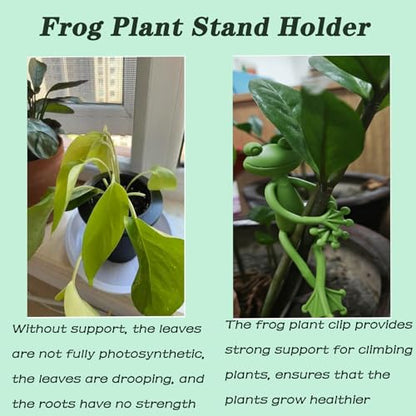 6pcs Frog Plant Stand Holder Plant Propagation Buddy for Indoor Accessories