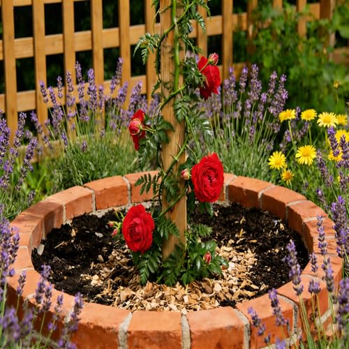 Natural Wood Stakes 4FT, 36Pcs Plant Stakes, Wood Garden Stake for Plants, Beans, Indoor and Outdoor Climbing Plants