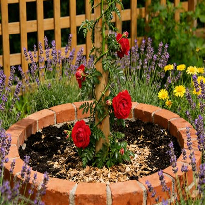 Natural Wood Stakes 4FT, 36Pcs Plant Stakes, Wood Garden Stake for Plants, Beans, Indoor and Outdoor Climbing Plants