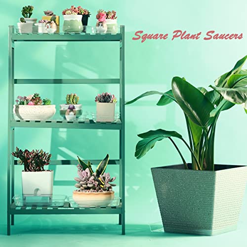 30 Pack Plant Saucers for Indoors 4 Inches Plant Trays for Pots Plastic Trays for Plants Square Plant Drip Trays for Potted Plants Flower Pot Saucers Clear Plant Plates to Catch Water, Bulk - size: 4 Inches