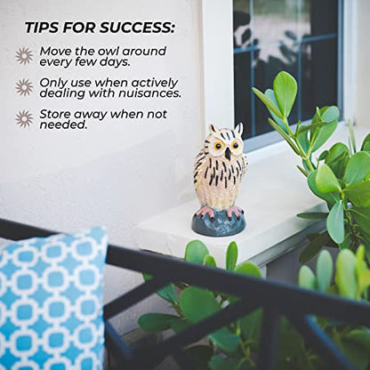 Owl Decoys to Scare Birds Away Plastic Owls Statue for Garden & Outdoors, 3 - style: Cottage