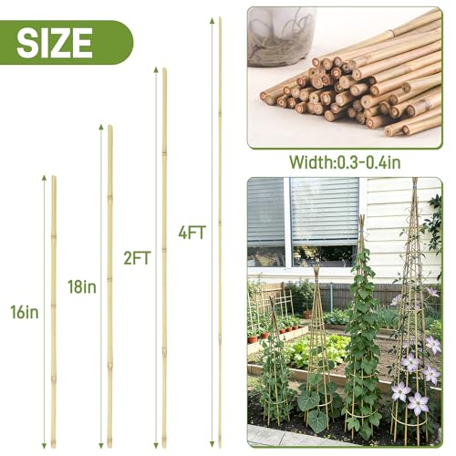 50Pcs Garden Stakes, 0.32”/16 Inch Bamboo Sticks，Natural Plant Stakes for Indoor and Outdoor Plants，Poles for Tomatoes, Beans, Potted Plants - size: 16In,Pack of 50