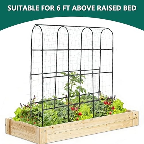 6 ft Tall, Garden Trellis for Climbing Plants Outdoor with Nylon Net for Cucumbers Vines Beans Raised Bed - Lightweight Metal, Black