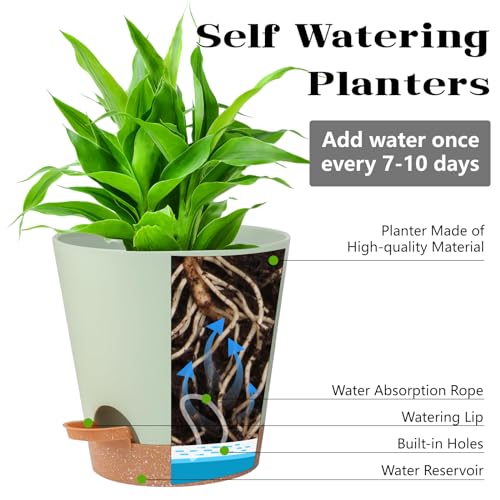 Self Watering Green Plastic Plant Pot Flower Planters with Drainage Hole And Deep Reservoir Large Planting Pots for for All Houseplants,Succulent, African Violets, Flowers and Cactus 12Inch/2pcs - color: Green, size: 12+12Inch