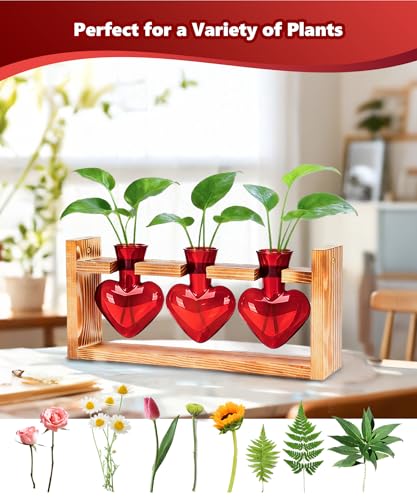 Nacome Plant Terrarium with Wooden Stand, 3 Heart Bulb Glass Vases - color: Red
