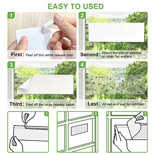 LFSYS 50 Window Fly Traps Indoor Fruit Fly Traps for Indoors