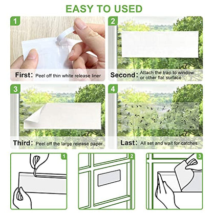 LFSYS 50 Window Fly Traps Indoor Fruit Fly Traps for Indoors