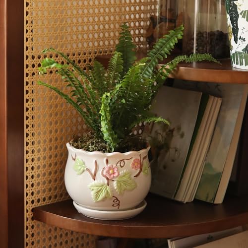 Ceramic Plant Pots with Drainage Holes and Saucers, Small Planters Set of 3 - color: White03