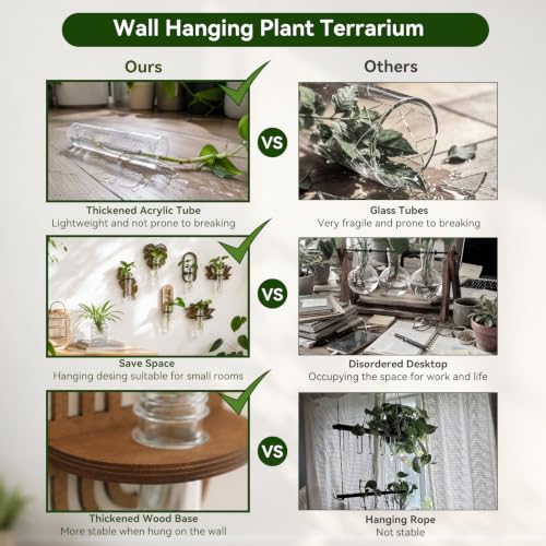 Artilady Plant Propagation Station Wall Hanging, Wood Arch Terrariums Tube - color: Oval 2
