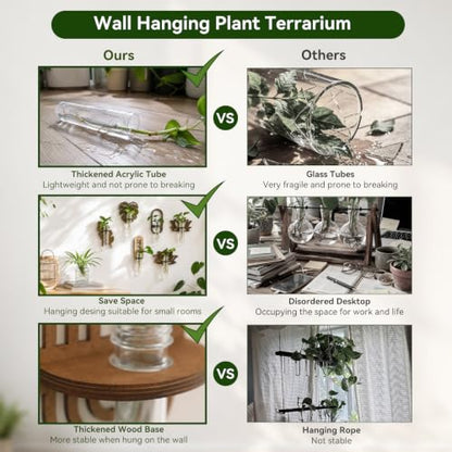 Artilady Plant Propagation Station Wall Hanging, Wood Arch Terrariums Tube - color: Oval 2